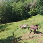 Errekarteko-borda